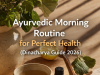 Ayurvedic Morning Routine for Perfect Health (Dinacharya Guide 2026) Ayurvedic morning routine steps