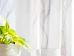 Best Detox Drinks for Body Cleanse & Weight Loss – Complete Guide