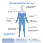 Drinking water / hydration